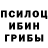Псилоцибиновые грибы GOLDEN TEACHER Hidden Daniil