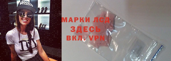 шишки Билибино