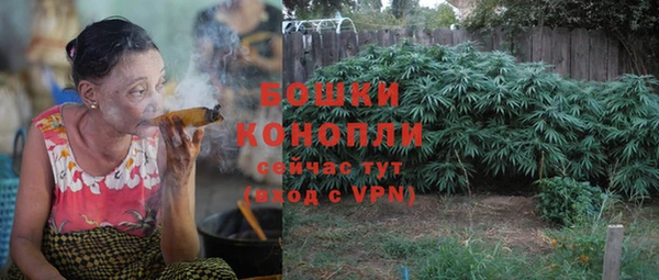 тгк Бикин