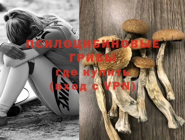 тгк Бикин